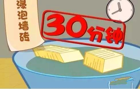 糖心APP网页版