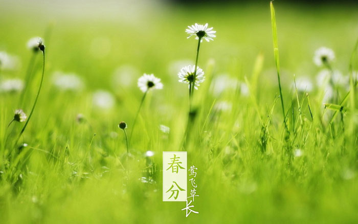 即便是春風十裏，依然不如你